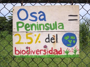 The Osa Peninsula contains 2.5% of the earth's biodiversity!