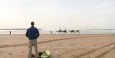 Mike admiring the camels while getting ready to surf Essaouira beach