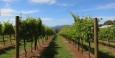 Victoria's beautiful wine country
