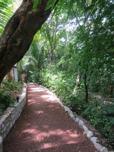 Jungle Path Entrance