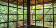 Jungle Cabin - View from  living room 
