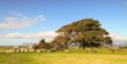 Carrowmore Megalithic Tombs