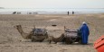 Essaouira beach