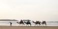 Essaouira beach